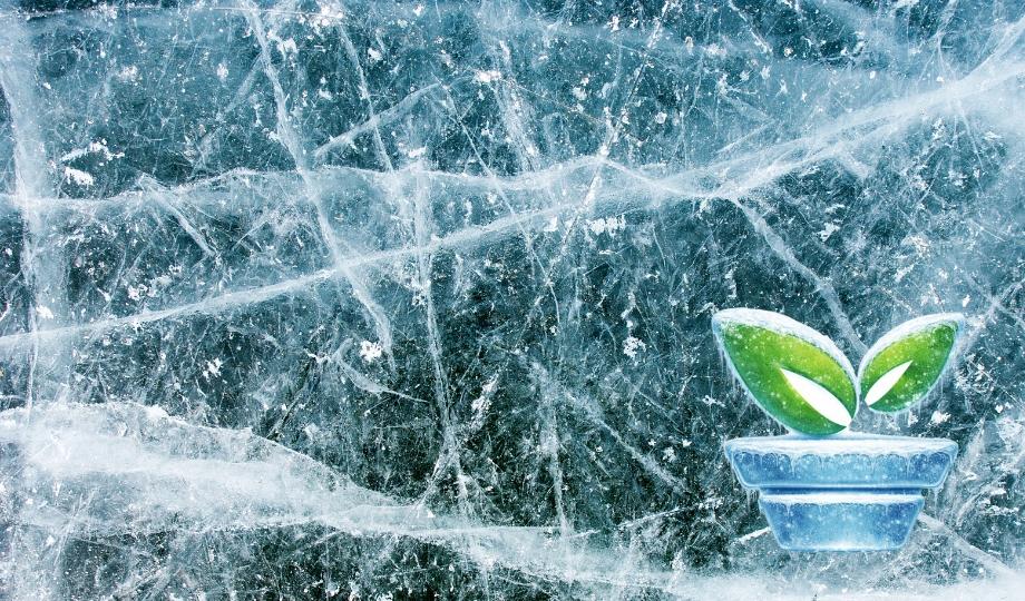 Fagyveszély! Fagyveszély!