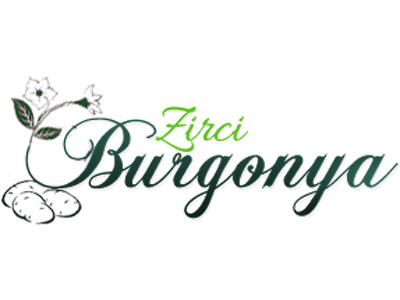 Zirci Burgonya